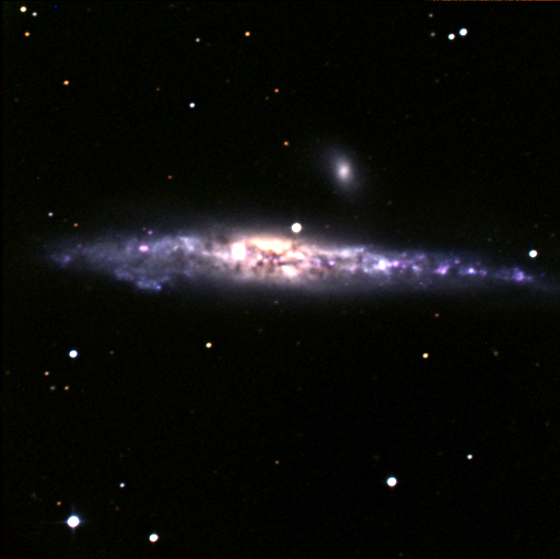 NGC 4631 &mdash; The Whale Galaxy